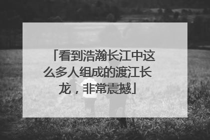 看到浩瀚长江中这么多人组成的渡江长龙，非常震撼