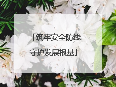 筑牢安全防线 守护发展根基