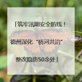 筑牢汛期安全防线！德州深化“桥河共治”整改隐患50余处