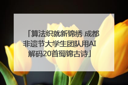 算法织就新锦绣 成都非遗节大学生团队用AI解码20首蜀锦古诗
