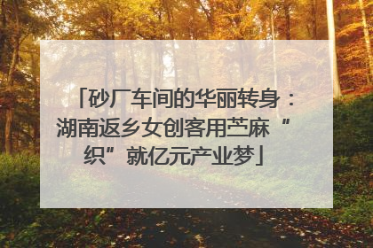 砂厂车间的华丽转身：湖南返乡女创客用苎麻“织”就亿元产业梦