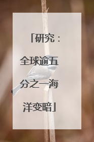 研究：全球逾五分之一海洋变暗