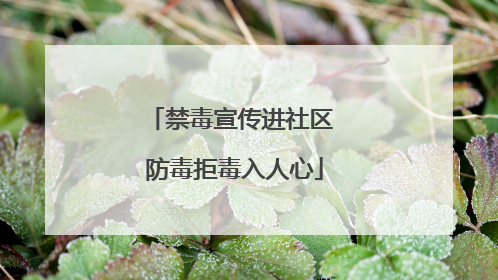 禁毒宣传进社区 防毒拒毒入人心