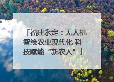 福建永定：无人机智绘农业现代化 科技赋能“新农人”
