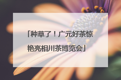 种草了！广元好茶惊艳亮相川茶博览会