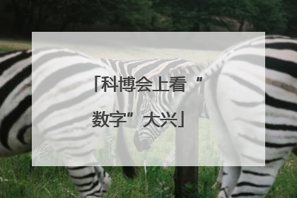 科博会上看“数字”大兴