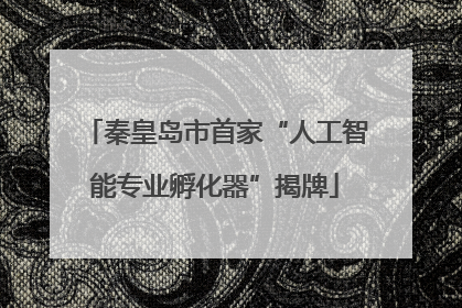 秦皇岛市首家“人工智能专业孵化器”揭牌