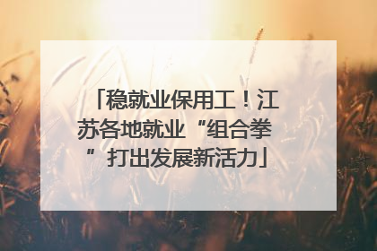 稳就业保用工！江苏各地就业“组合拳”打出发展新活力