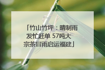 竹山竹坪：晴制雨发忙赶单 57吨大宗茶冒雨启运福建