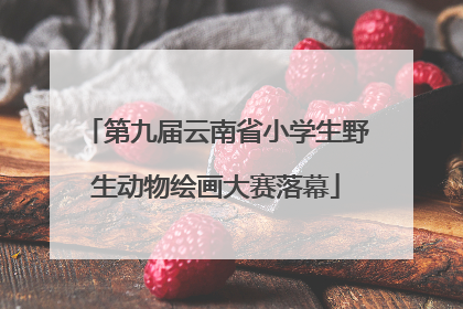 第九届云南省小学生野生动物绘画大赛落幕
