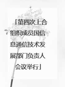 第四次上合组织成员国信息通信技术发展部门负责人会议举行