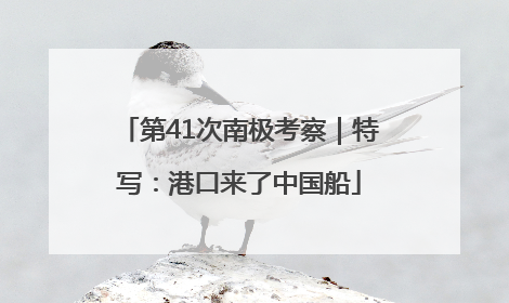 第41次南极考察｜特写：港口来了中国船