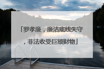 罗孝廉，廉洁底线失守，非法收受巨额财物