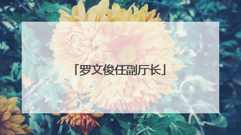 罗文俊任副厅长