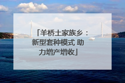 羊桥土家族乡：新型套种模式 助力增产增收