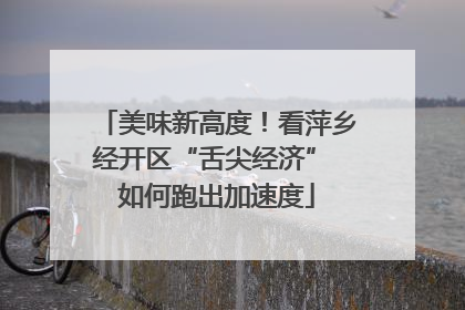 美味新高度！看萍乡经开区“舌尖经济” 如何跑出加速度