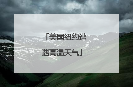 美国纽约遭遇高温天气