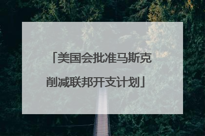美国会批准马斯克削减联邦开支计划