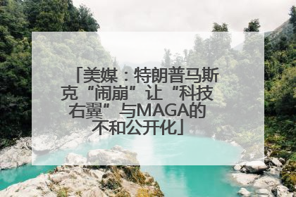 美媒：特朗普马斯克“闹崩”让“科技右翼”与MAGA的不和公开化