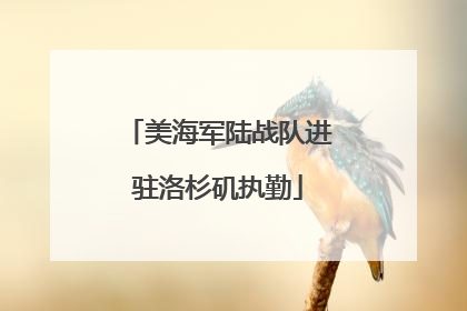 美海军陆战队进驻洛杉矶执勤