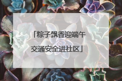 粽子飘香迎端午 交通安全进社区