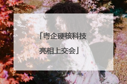 粤企硬核科技亮相上交会
