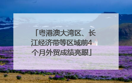 粤港澳大湾区、长江经济带等区域前4个月外贸成绩亮眼