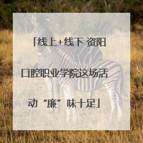 线上+线下 资阳口腔职业学院这场活动“廉”味十足