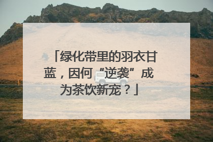 绿化带里的羽衣甘蓝，因何“逆袭”成为茶饮新宠？