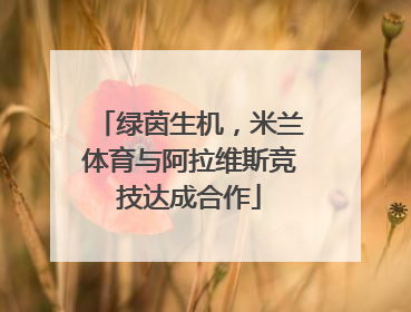 绿茵生机，米兰体育与阿拉维斯竞技达成合作