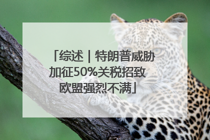 综述｜特朗普威胁加征50%关税招致欧盟强烈不满