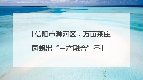 信阳市浉河区：万亩茶庄园飘出“三产融合”香