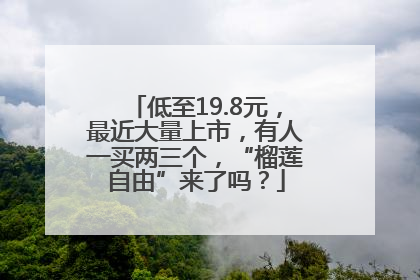 低至19.8元，最近大量上市，有人一买两三个，“榴莲自由”来了吗？