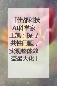 佳都科技AI科学家王凯：探寻共性问题，实现整体效益最大化