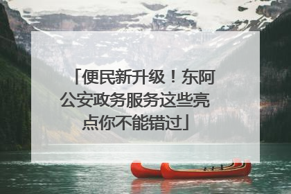 便民新升级！东阿公安政务服务这些亮点你不能错过