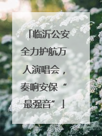 临沂公安全力护航万人演唱会，奏响安保“最强音”