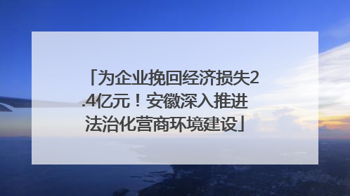 为企业挽回经济损失2.4亿元！安徽深入推进法治化营商环境建设