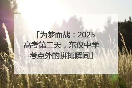 为梦而战：2025高考第二天，东仪中学考点外的拼搏瞬间