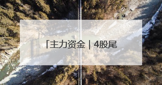主力资金｜4股尾盘获主力大幅抢筹