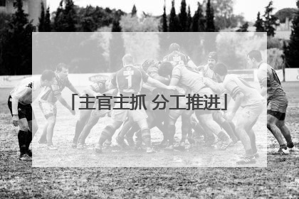 主官主抓 分工推进