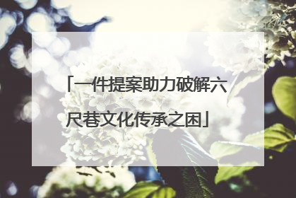 一件提案助力破解六尺巷文化传承之困