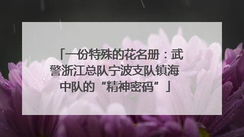 一份特殊的花名册：武警浙江总队宁波支队镇海中队的“精神密码”