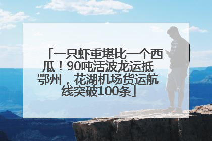 一只虾重堪比一个西瓜！90吨活波龙运抵鄂州，花湖机场货运航线突破100条