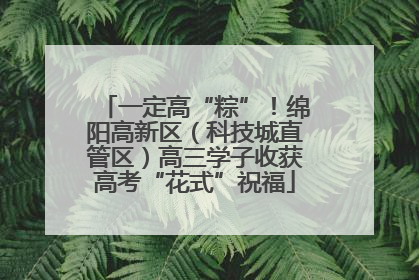 一定高“粽”！绵阳高新区（科技城直管区）高三学子收获高考“花式”祝福