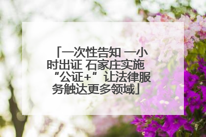 一次性告知 一小时出证 石家庄实施“公证+”让法律服务触达更多领域