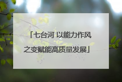 七台河 以能力作风之变赋能高质量发展