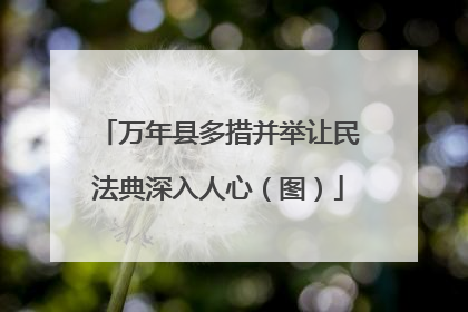 万年县多措并举让民法典深入人心（图）