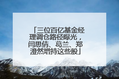 三位百亿基金经理调仓路径曝光，闫思倩、葛兰、郑澄然增持这些股