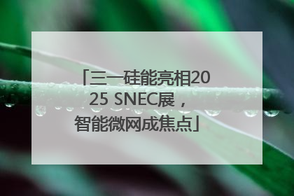 三一硅能亮相2025 SNEC展，智能微网成焦点