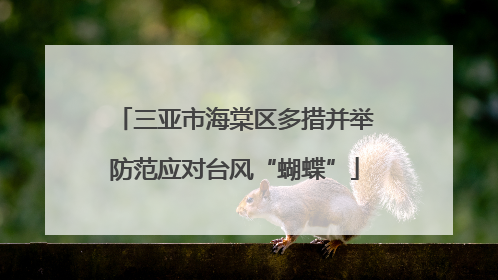 三亚市海棠区多措并举防范应对台风“蝴蝶”